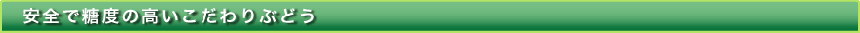 安全で糖度の高いこだわりぶどう